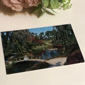 Cypress Gardens Postcard Vintage 1980s CYPRESS GARDENS Florida Postcard